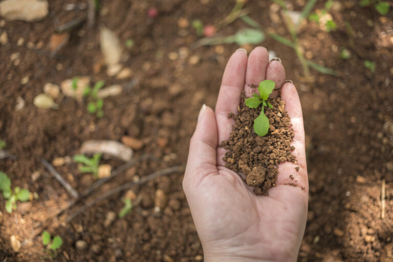 Expertos analizan el impacto de la bioeconomía en el desarrollo de la Región del Maule